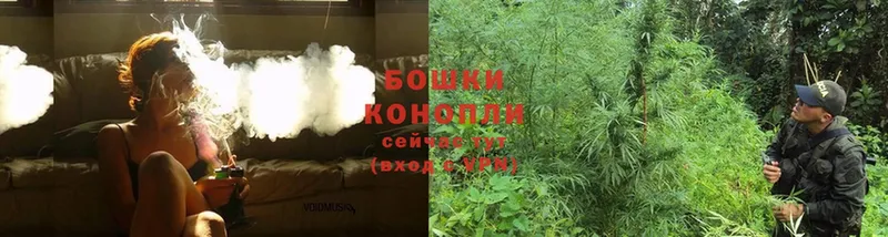 дарнет шоп  Ивангород  Каннабис LSD WEED 